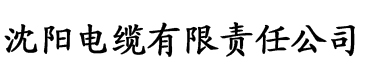 秋霞免费在线影院电缆厂logo